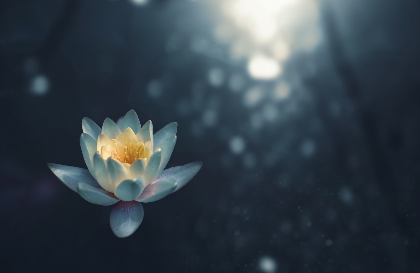 Creating Calm Within The University Culture