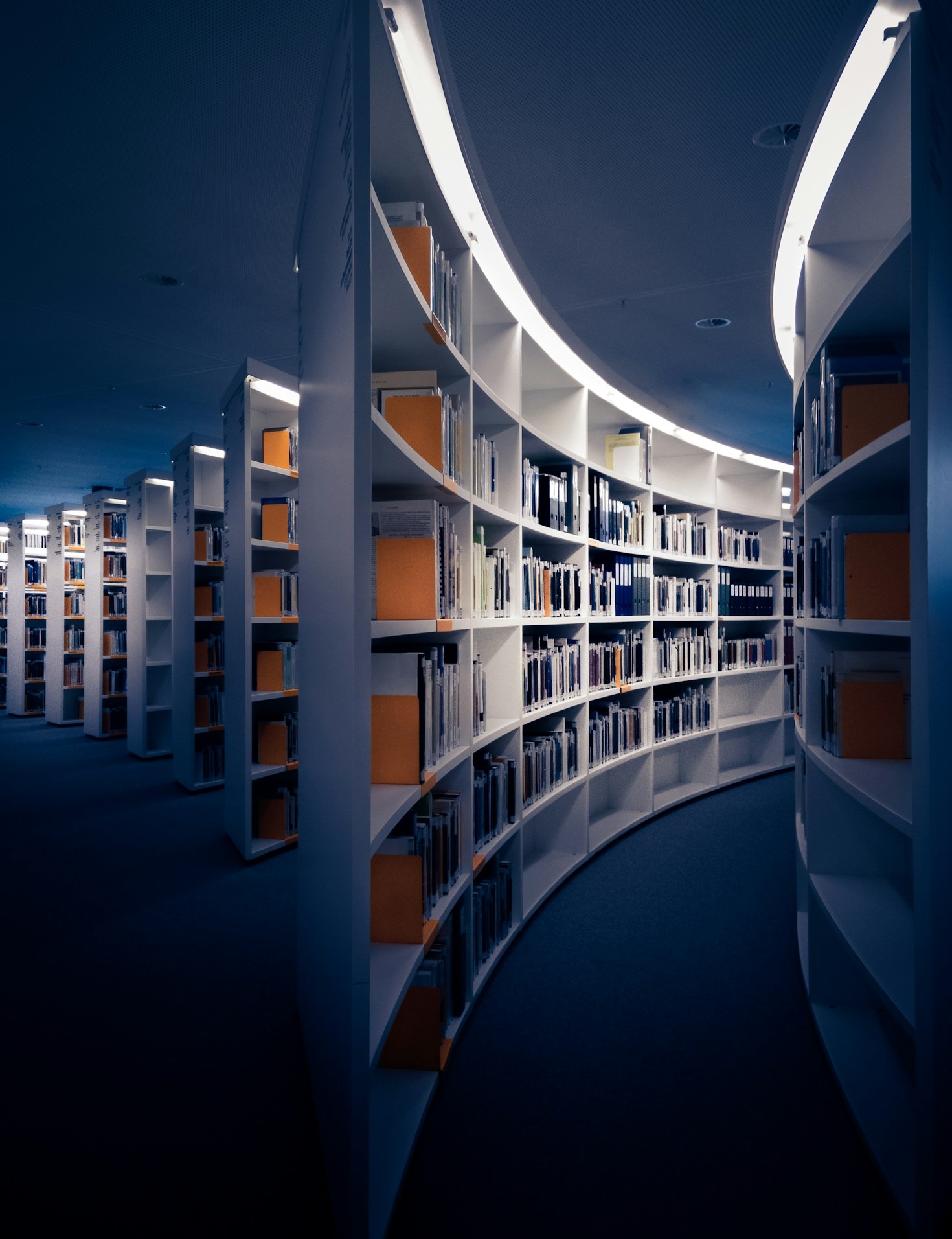 Mindful Pedagogy For The Modern Scholar